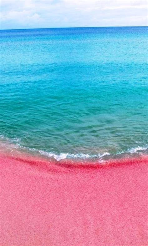 pink sand beach hawaii big island|rainbow sand beach hawaii.